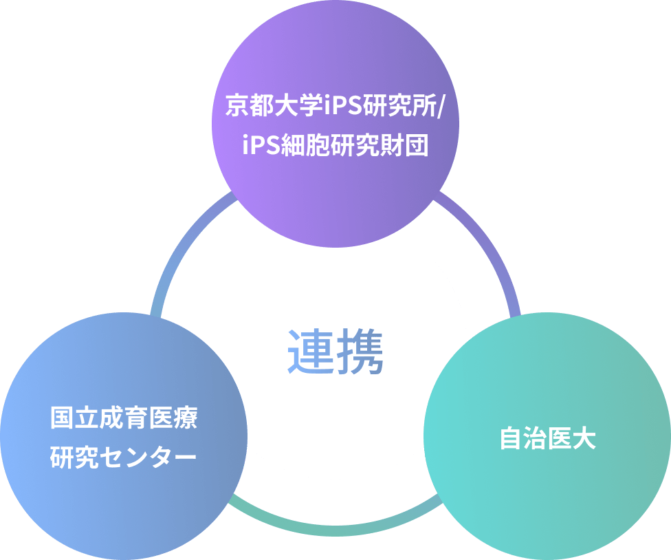 「京都大学iPS研究所/iPS細胞研究財団」、「国立成育医療研究センター」、「自治医大」の連携